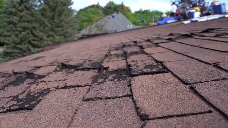 Best Sheet Metal Roofing  in Mono Vista, CA