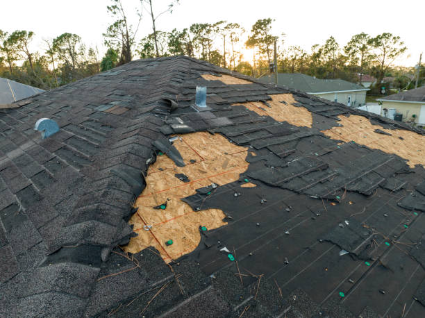 Fast & Reliable Emergency Roof Repairs in Mono Vista, CA