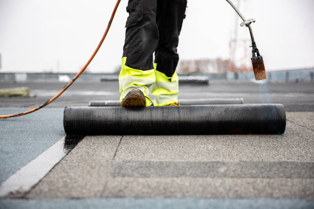 Best Chimney Flashing Repair  in Mono Vista, CA